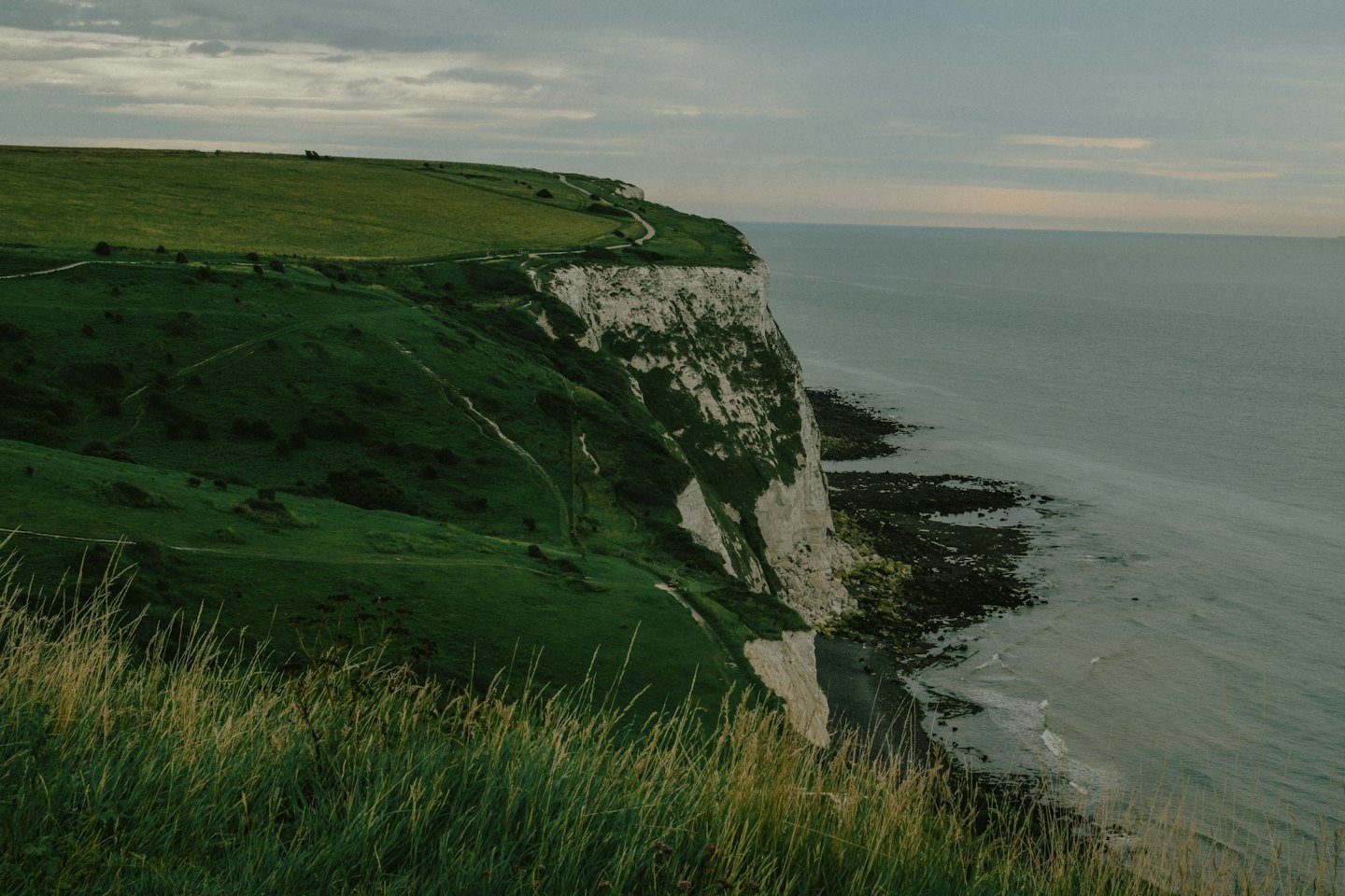 Green grass grows on white chalk cliffs above the sea.